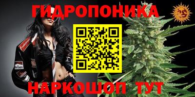 прущий лед Краснознаменск