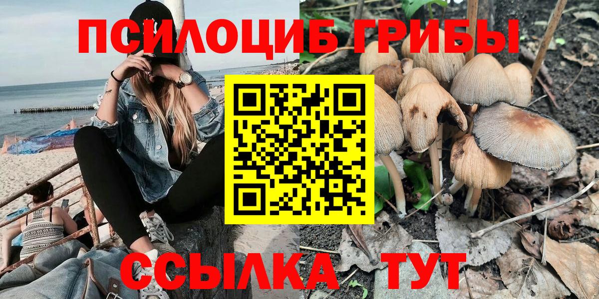Псилоцибиновые грибы прущие грибы Когалым